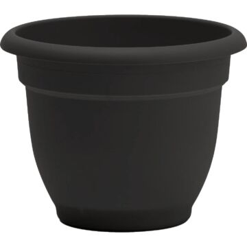 Bloem Ariana Self-Watering Plastic Planter (Black) 8 in.