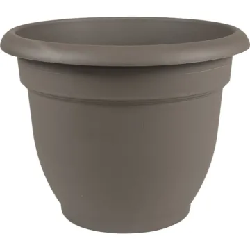Bloem Ariana Self-Watering Plastic Planter (Charcoal) 8 in.