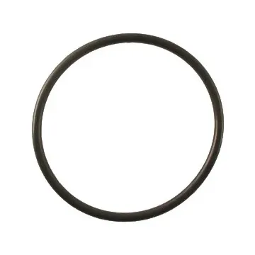 TeeJet EPDM Strainer Bowl Gasket for AA122
