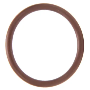 TeeJet AA124 Strainer Viton O-Ring