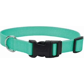 Coastal Pet Dog Collar 1"x18-26" Teal