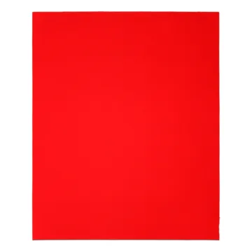 Diablo Tools 9 in. x 11 in. Sanding Sheets 80 Grit (4-Pack)