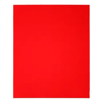 Diablo Tools 9 in. x 11 in. Sanding Sheets 100 Grit (4-Pack)
