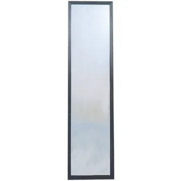 Home Decor Innovations Suave 13 In. x 49 In. Black Plastic Door Mirror