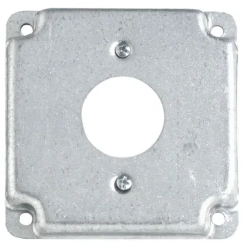 Thomas & Betts Single Receptacle Steel Square Box Cover (Silver)