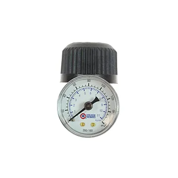 Coilhose Pneumatics 1/4" Economy Regulator w/ Gauge