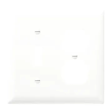Pass & Seymour TradeMaster 2-Gang Nylon Toggle/Duplex Opening Wall Plate (White)