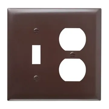 Pass & Seymour TradeMaster 2-Gang Nylon Toggle/Duplex Opening Wall Plate (Brown)