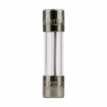 Bussmann 10 A Glass Tube Electronic Fuse (2-Pack)
