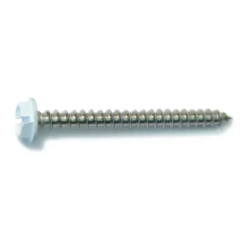 #10 x 2" Slotted Hex Washer Head, Sheet Metal Screw, Stainless Steel, White 