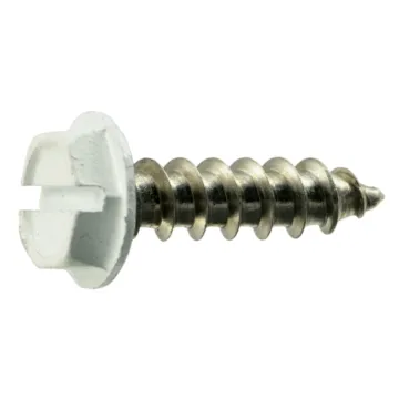#10 x 3/4" Slotted Hex Washer Head, Sheet Metal Screw, Stainless Steel, White 