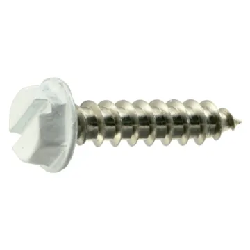 #8 x 3/4" Slotted Hex Washer Head, Sheet Metal Screw, Stainless Steel, White 