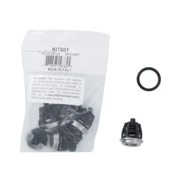 BE Pressure Washer Valve Kit