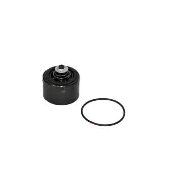 Fill-Rite FR700 Series Pumps Check Valve Kit
