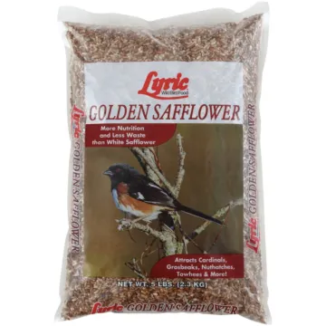 Lyric Golden Safflower Wild Bird Seed - 5 lb