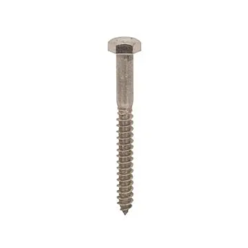 Star Stainless 1/4 in Hex 4 in Stainless Steel Lag Screw