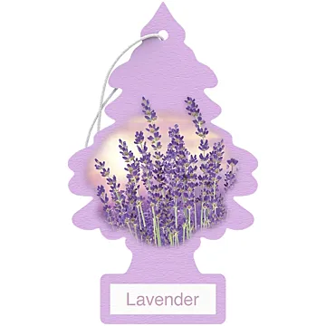 Little Trees Lavender Air Freshener (1pk)