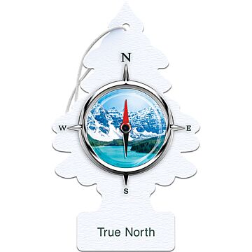 Little Trees True North Air Freshener (3pk)