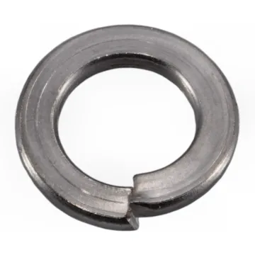 Split Lock Washer (Stainless Steel) 12 mm