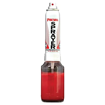 Preval Paint Sprayer System