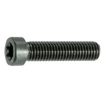Gun Screw - 6-48 x 9/16 in.