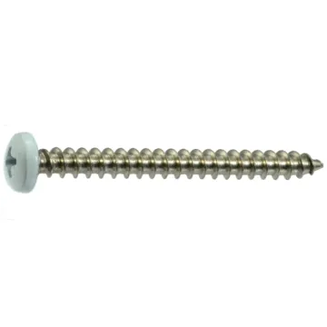 #10 x 2" Phillips Pan Head, Sheet Metal Screw, Stainless Steel, White 