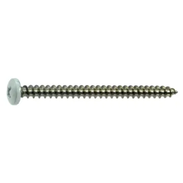 #10 x 2-1/2" Phillips Pan Head, Sheet Metal Screw, Stainless Steel, White 
