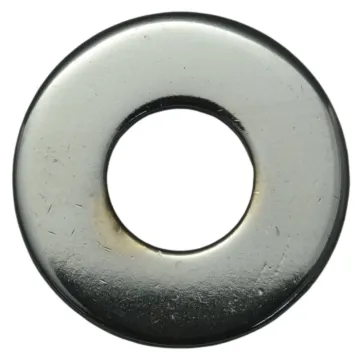 Flat Washer (Chrome) 5/16 in.