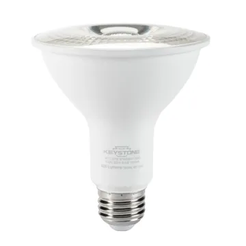 Keystone LED 120 V 10 W LED Lamp