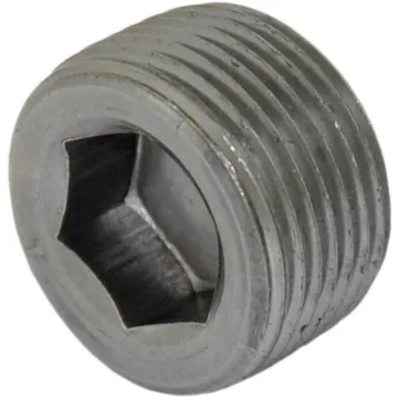 Boshart Industries 1 BLK HEX SOCKET PLUG #3798