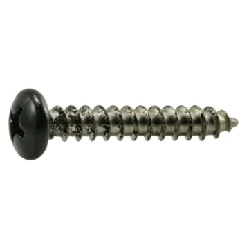 #8 x 1" Phillips Pan Head, Sheet Metal Screw, Stainless Steel, Black 