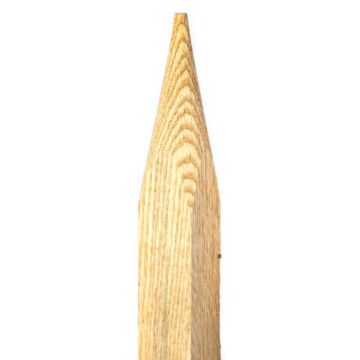 Pointed Hardwood Garden Stake - 1 in x 1-1/2 in x 5 ft 
