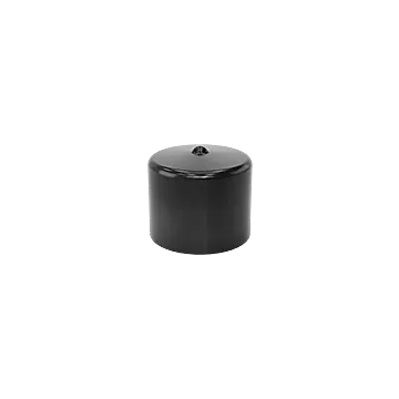 Check Valve Dust Cover