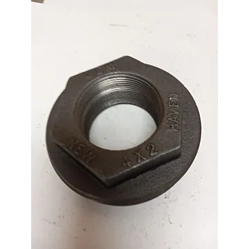 4 x 2 in MNPT x FNPT Cast Iron Double Tapped Bushing