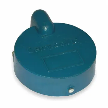 Campbell 6-5/8 in Dia 6-5/8 in Casing Cast Iron Well Cap
