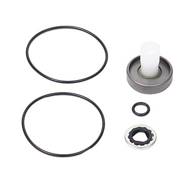 ACE PUMPS Repair Kit for 200 Series Motor with High Pressure Lip Seal