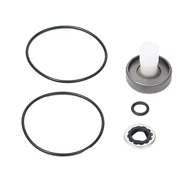 ACE PUMPS Repair Kit for 200 Series Motor with High Pressure Lip Seal