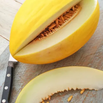 Rohrer Seeds Crenshaw Cantaloupe Seeds