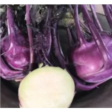 Rohrer Seeds Purple Vienna Kohlrabi Seeds