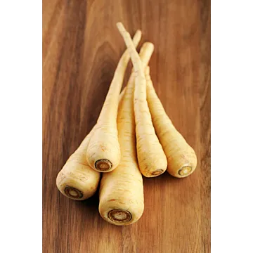 Rohrer Seeds 14-21 1/4 in 1 in Hollow Crown Parsnip Seeds