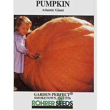 Rohrer Seeds ATLANTIC GIANT PUMPKIN