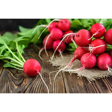 Rohrer Seeds 3-10 1/2 in 1 in Cherry Belle Radish Seeds