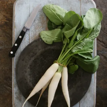 Rohrer Seeds White Icicle Radish Seeds