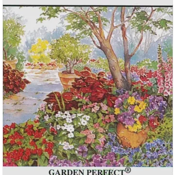 Rohrer Seeds Shade Flower Seed Mix