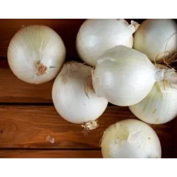 Rohrer Seeds White Sweet Spanish Onion Seeds - 1 lb