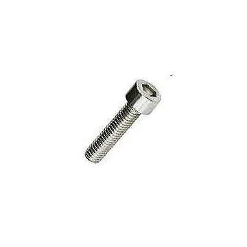 Brighton-Best 1/4 in-20 2 in 18-8 SS Socket Cap Screw