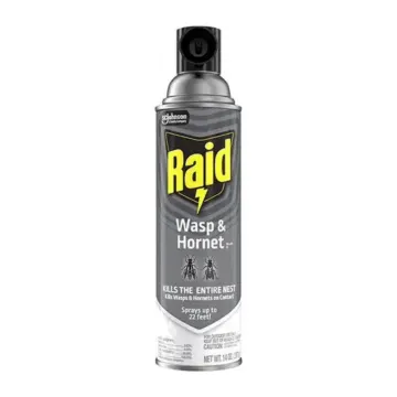RAID Wasp & Hornet Killer - 17.5 oz