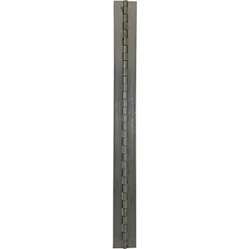 Buyers 1/4 in Weld-On Stainless Steel Continuous Hinge