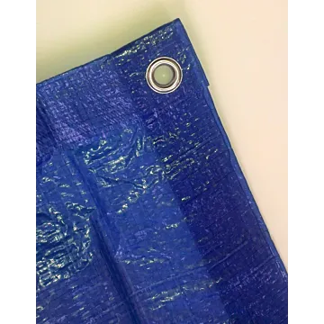 Blue Tarp