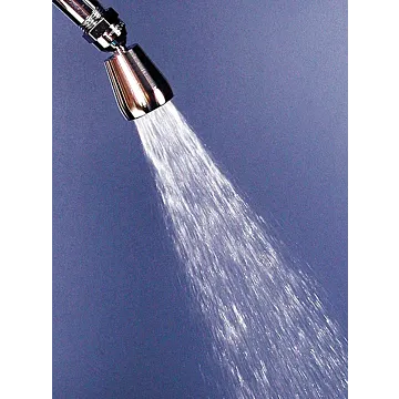 Whedon Products 2 gpm 1/2 in Wall Shower Head